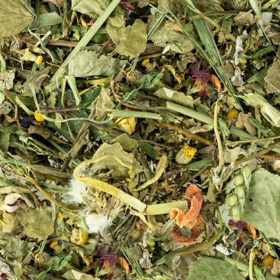 Garden Discovery Mix