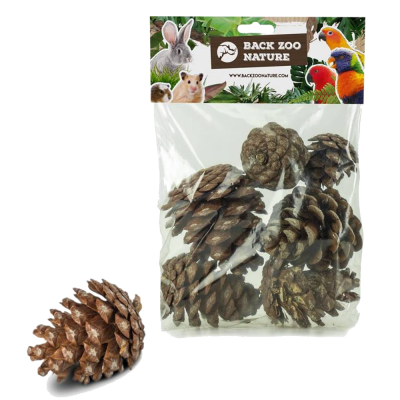 Pinhas (6 uni.) - Back Zoo Nature