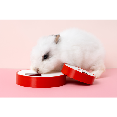 Joaninha Large Spinner Foraging Toy