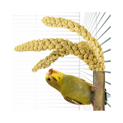 Suporte para espigas em bambu