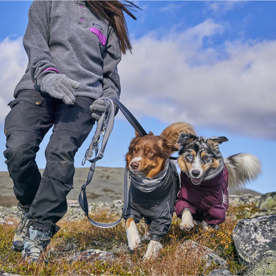 Multilong Leash II - Strawberry - Hurtta