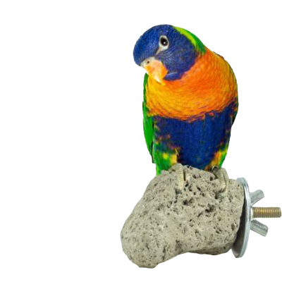 Poleiro de pedra pomes