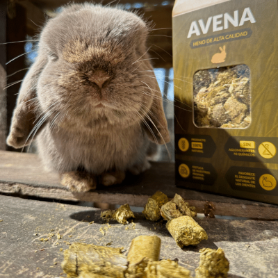 PETS Pellets de Feno de Aveia