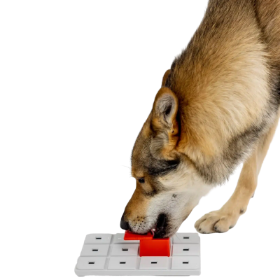 Cão a usar focinho para abrir compartimento vermelho num jogo interativo branco para cães