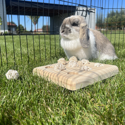 Tabuleiro de foraging em Madeira com bolas de verga