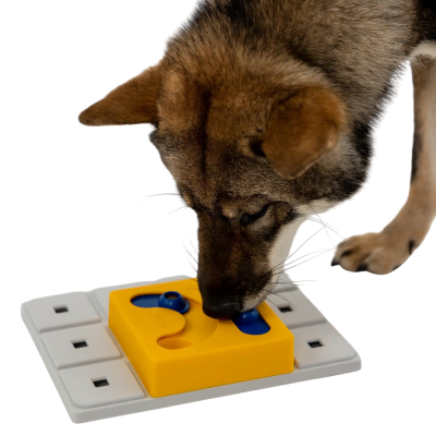 Cão a brincar com brinquedo interativo para cães amarelo e branco