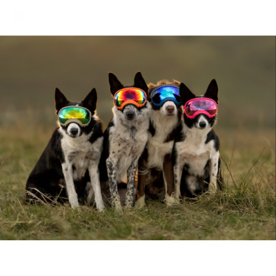 Lentes de substituição V2 - RexSpecs V2 - Silver Mirror