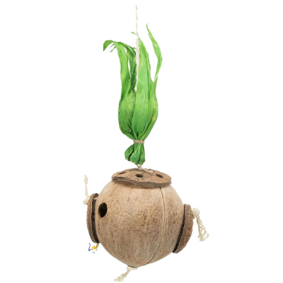 Coco para Foraging ou abrigo