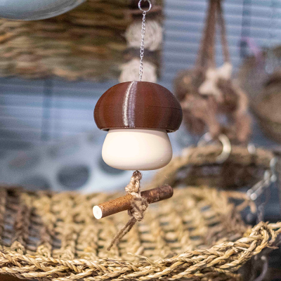 Foraging Mushroom - Castanho