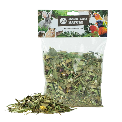 Garden Discovery Mix