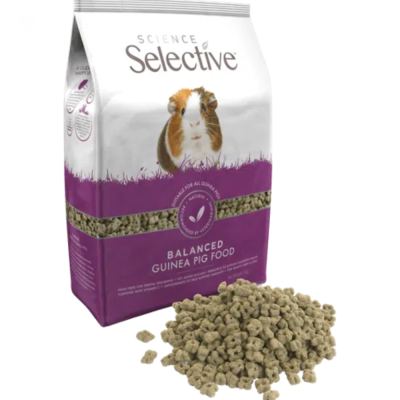 Science Selective - Porquinho da India