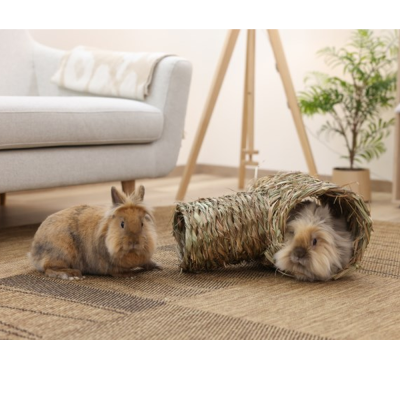 Tunel duplo em feno e fibras naturais