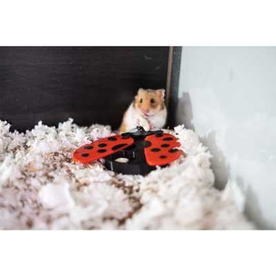 Pequeno Tabuleiro Joaninha de foraging