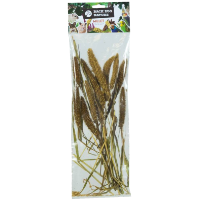 Espiga de setaria italica (50g)