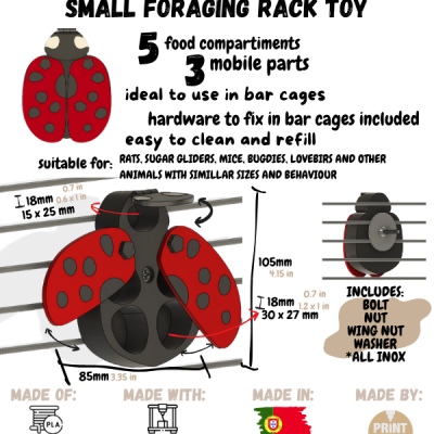 Pequena Joaninha de foraging