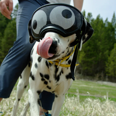 Vinil para lentes - RexSpecs V2 - Black Googly Eyes