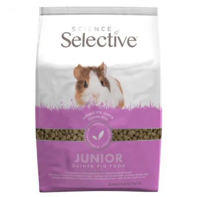 Science Selective Junior - Porquinho da India