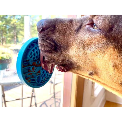 Mini Tapete para enriquecimento Turtle emat-mini com ventosas