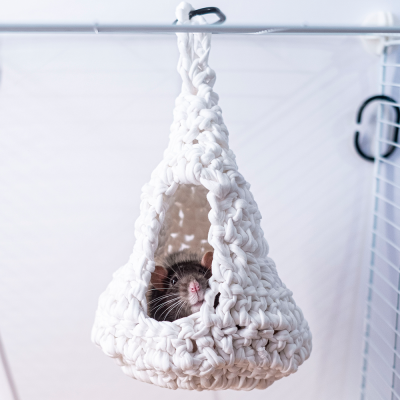 Ninho Branco em crochet para roedores