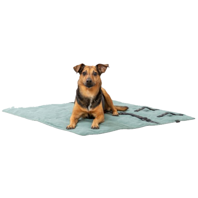 Manta de Viagem ou Treino - Citystyle Trixie