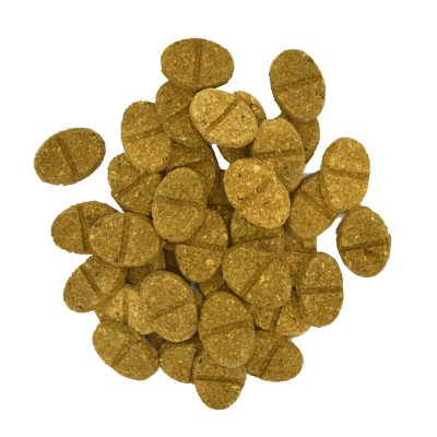 Digestive Suporte Oxbow Natural Science