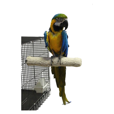 Poleiro de cimento - Back Zoo Nature