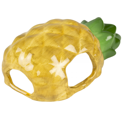 Toca ananás em ceramica para micro roedores