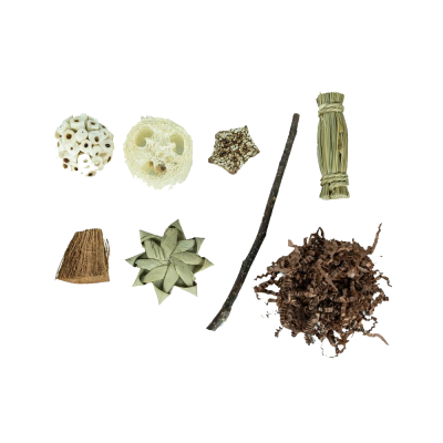 Back Zoo Nature Pentagon Caixa de Forrageamento e Brincadeira