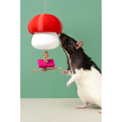 Foraging Mushroom - Vermelho