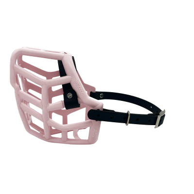 Rex - The Muzzle Movement