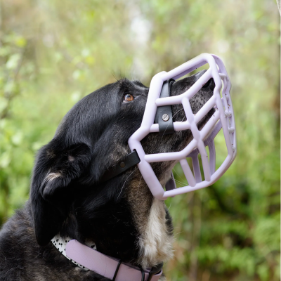 Neli - The Muzzle Movement