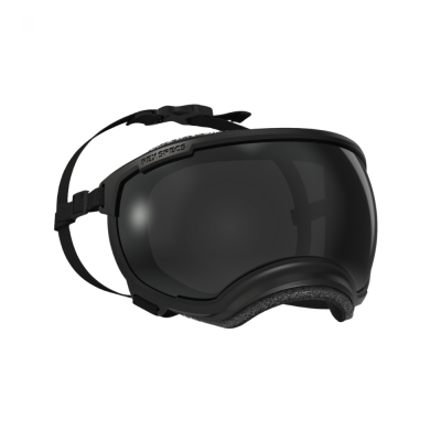 Óculos - RexSpecs V2 - Preto "Black"