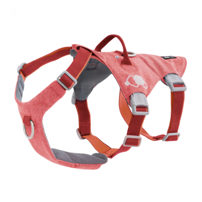 Safeguard Harness ECO - Strawberry - Harnes de 3 Pontos - Hurtta