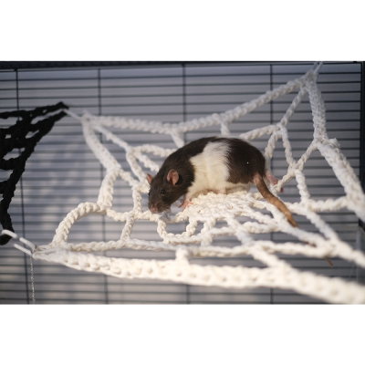 Rede Teia de Aranha em Crochet - Fall Breakers