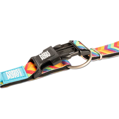 GOTCHA! Smart ID Coleira - Summertime - MAX & MOLLY