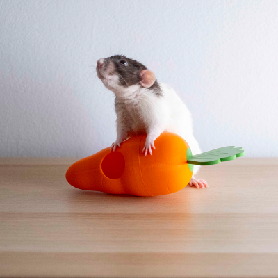 Cenoura dispensadora