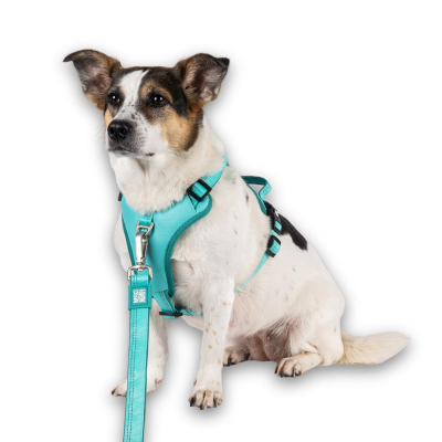 GOTCHA! Smart ID Sport Harness - Matrix 2.0 Turquesa