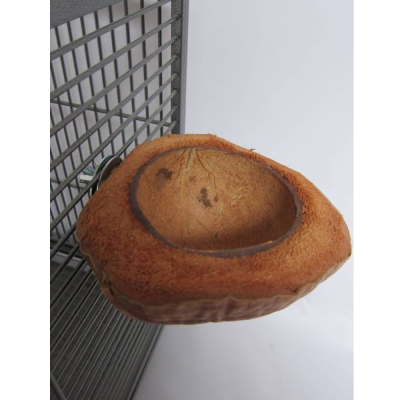 Gamela Coco natual com suporte