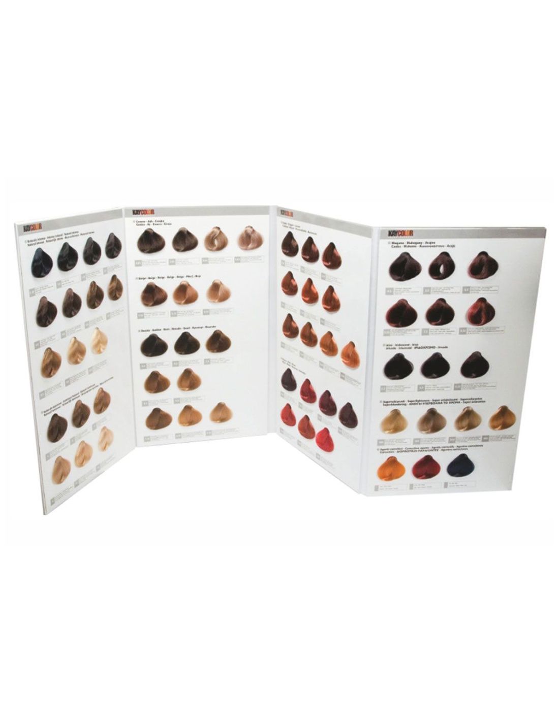Catálogo de Cores - Kaycolor