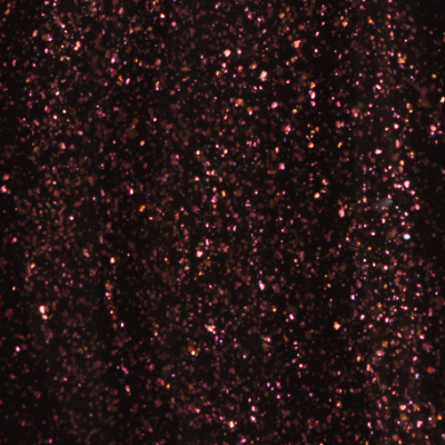 Andreia The Gel Polish CC3 10,5ml