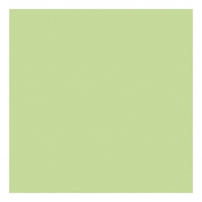 The Gel Polish Andreia - Color Block Collection - CB2