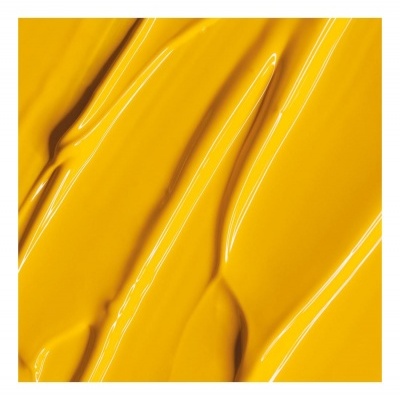 Gel Paint Yellow 05 - Andreia Professional