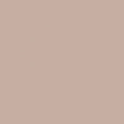 Andreia The Gel Polish N2 10,5ml