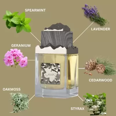 Lava EDP 100 ml Unisex by Maison Alhambra