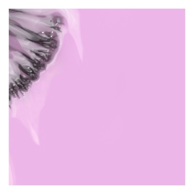 Verniz Gel Violeta 15ml - Coleção FLORA INOCOS