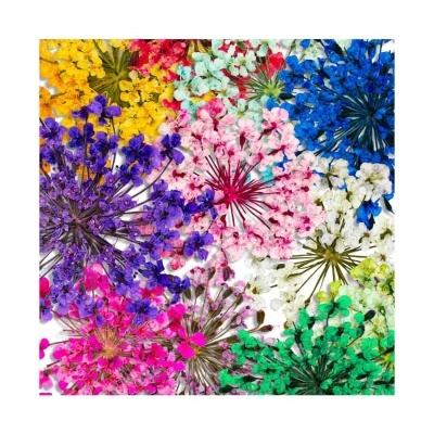 Nail Art Flores Secas - Coleção FLORA INOCOS