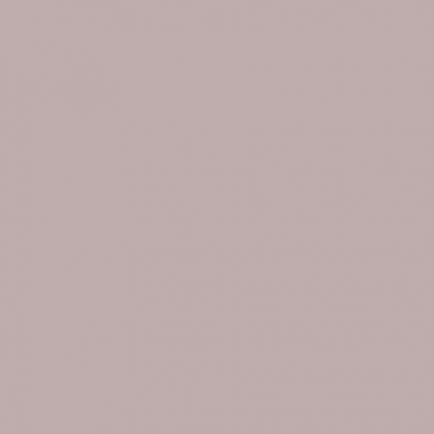 Andreia The Gel Polish CO3 10,5ml