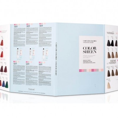 Caixa de coloração de cabelo COLOR SHEEN com amostras de cores e instruções