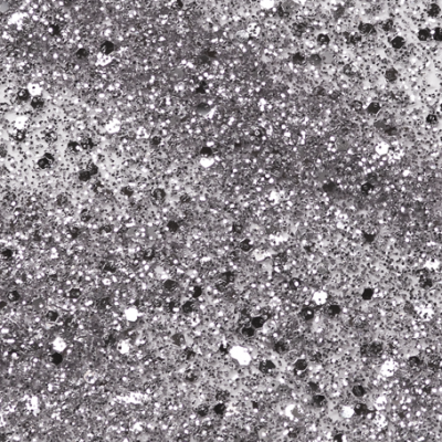 Andreia The Gel Polish G38 10,5ml