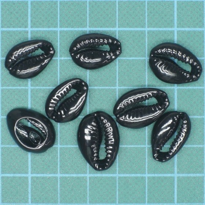 Búzio Natural 12x18mm